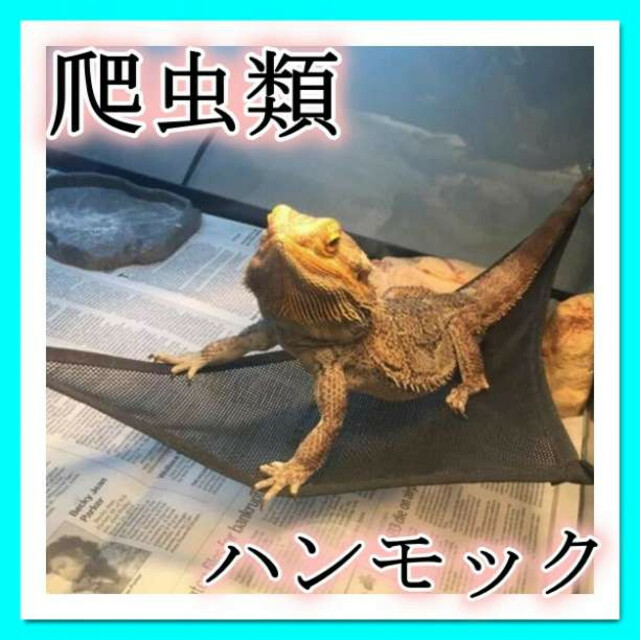 高級ブランド 黒 爬虫類 ハンモック ペットハンモック 小動物 メッシュ トカゲ ヤモリ 限定1個*フトアゴ フトアゴヒゲトカゲ ハンモック 爬虫類 小動物 ハンドメイド