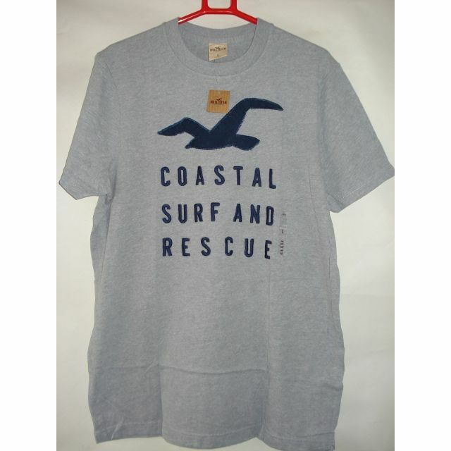 【HOLLISTER】ホリスター メンズTシャツcoastal ロゴ グレー L