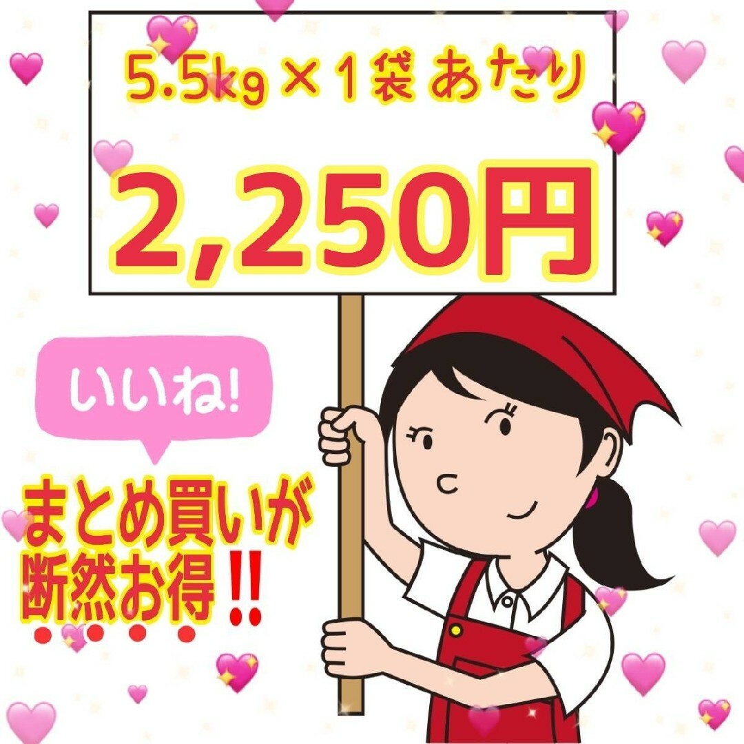 ☆生活応援１０％(２kg)増量☆あきたこまちブレンド白米合計（２２kg）送料込み　米/穀物