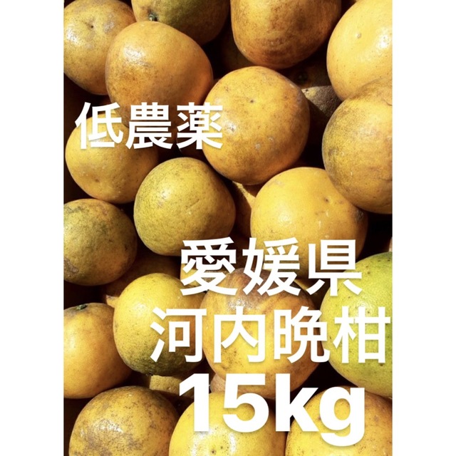 愛媛県産 低農薬 宇和ゴールド 河内晩柑 15kg