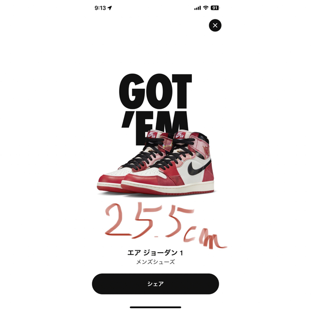 Nike Air Jordan 1 High OG ✖️Spider Man