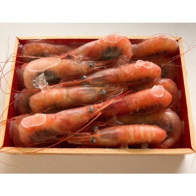 糸魚川産南蛮エビ【250g✖️2】 食品/飲料/酒の食品(魚介)の商品写真