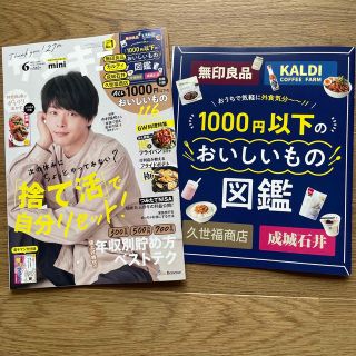 ベネッセ(Benesse)のサンキュ!ミニ 2023年 06月号　　　　　一読のみの美品(生活/健康)