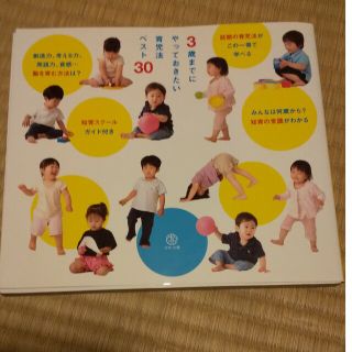 ３歳までにやっておきたい育児法ベスト３０ 子どもの才能を伸ばす話題の知育法が一冊(住まい/暮らし/子育て)