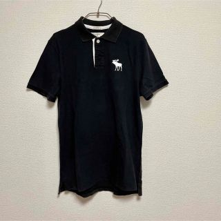 アバクロンビーアンドフィッチ(Abercrombie&Fitch)のアバクロ  ポロシャツ  メンズ　L  オシャレ　ストレッチ(ポロシャツ)