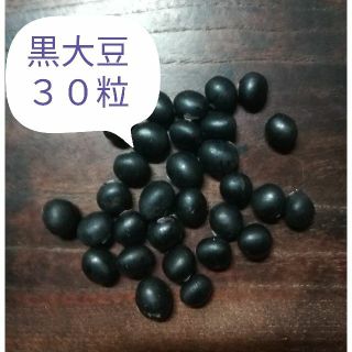 【黒大豆　ダイズ　30粒】晩生　枝豆も美味　自然農法　自然栽培　在来種　自家採種(野菜)