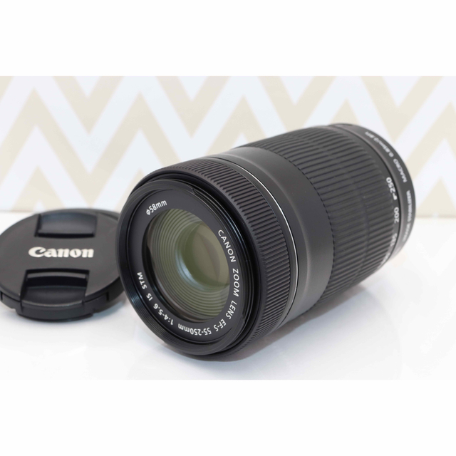 ⭐️美品⭐️静音望遠レンズ⭐️EF-S 55-250mm IS STM⭐️カメラ