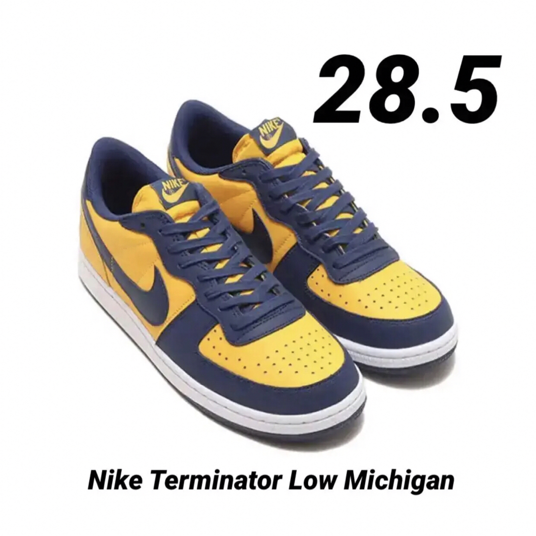 未使用品 NIKE TARMINATOR LOW OG MICHIGAN