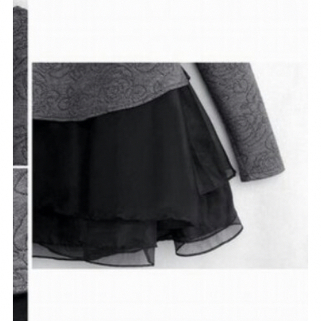 オーガンジー　トップス　インポート レディースのトップス(カットソー(半袖/袖なし))の商品写真