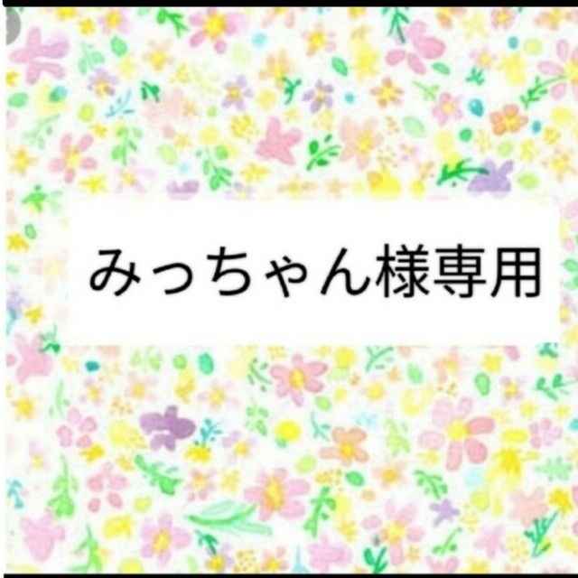 ☆入手困難☆値下げ みっちゃん様専用 その他 education.actra.ca