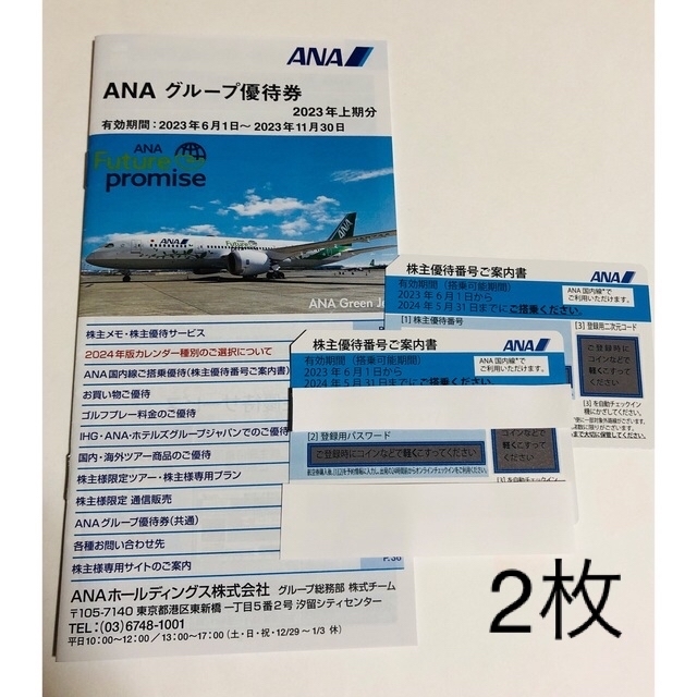 ANA(全日本空輸)(エーエヌエー(ゼンニッポンクウユ))の(送料込み)  ANA  全日空　株主優待券　2枚 チケットの優待券/割引券(その他)の商品写真