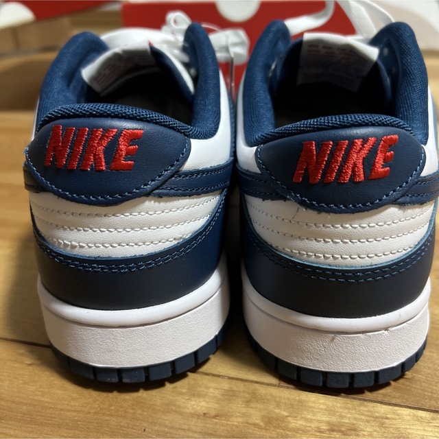 NIKE DUNK LOW RETRO VALERIANE BLUE 30cm