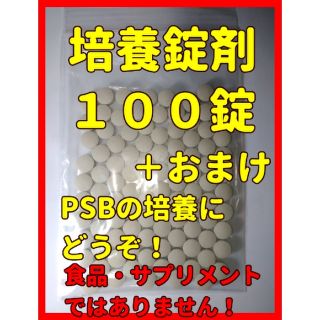 エビオス　１００錠➕α　検索　#エビオス　#ゾウリムシ　#種水　#(アクアリウム)