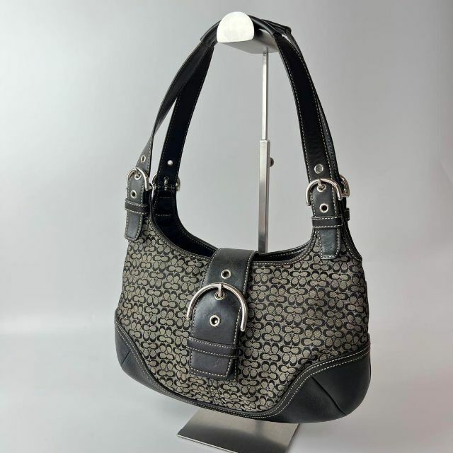 コーチ COACH ミニシグネチャーワンショルダー 正本 レディース | qofl.lk
