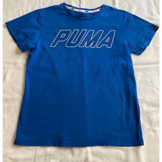 プーマ(PUMA)のPUMA プーマ　青色　Tシャツ　160センチ(Tシャツ/カットソー)