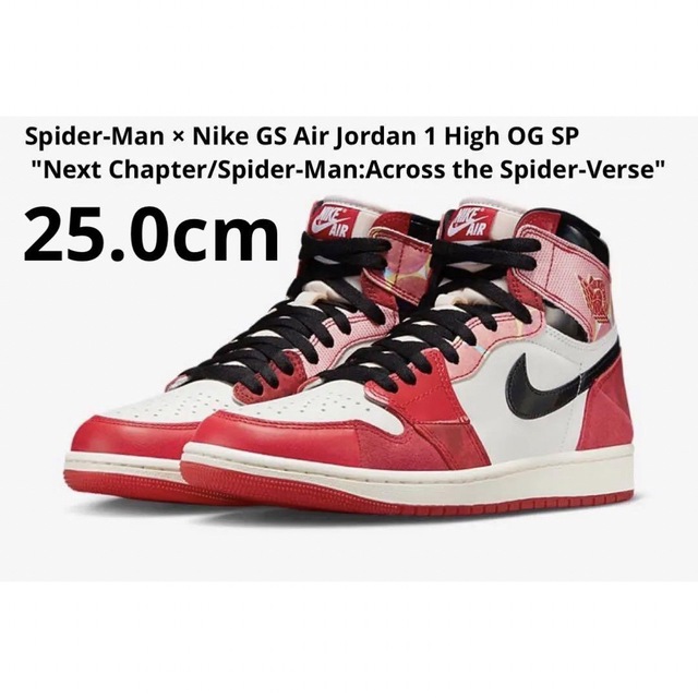 Nike GS Air Jordan 1 High Next Chapter