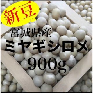 宮城県産大豆 １等級品質 ミヤギシロメ 900g(野菜)