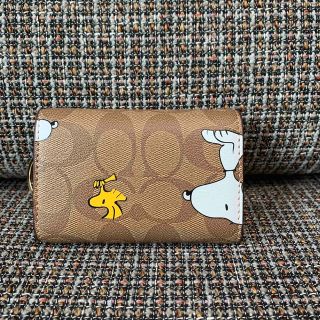 【新品未使用】 COACH コーチ  キーケース　スヌーピー カーキマルチ