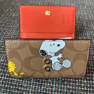 COACHコーチキーケース　レディースのブラウン色新品キーケース　スヌーピー