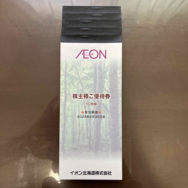イオン北海道 株主優待券 25000円分優待券/割引券