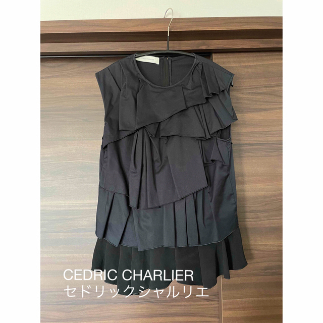 Drawer(ドゥロワー)の美品　CEDRIC CHARLIER セドリックシャルリエ　フリルブラウス レディースのトップス(シャツ/ブラウス(半袖/袖なし))の商品写真