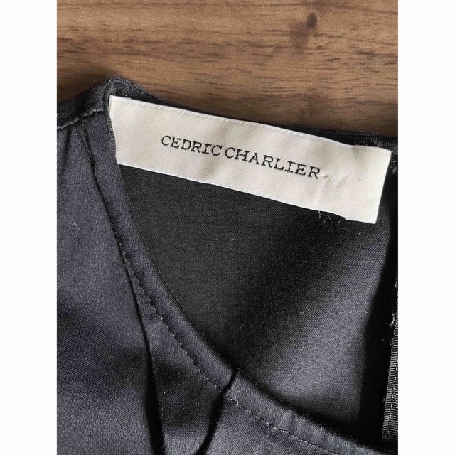 Drawer(ドゥロワー)の美品　CEDRIC CHARLIER セドリックシャルリエ　フリルブラウス レディースのトップス(シャツ/ブラウス(半袖/袖なし))の商品写真