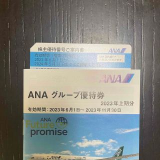 エーエヌエー(ゼンニッポンクウユ)(ANA(全日本空輸))のANA 株主優待券(航空券)