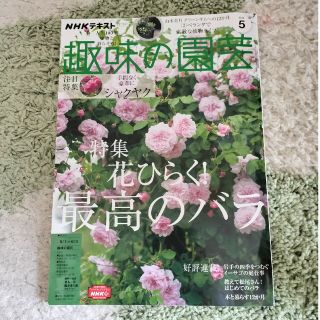 🌹「趣味の園芸」薔薇特集🌹(趣味/スポーツ/実用)