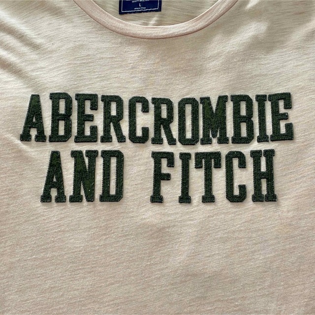 Abercrombie&Fitch(アバクロンビーアンドフィッチ)のシンプルデザインコーデしやすい！アバクロのピンクオレンジTシャツ(L) メンズのトップス(Tシャツ/カットソー(半袖/袖なし))の商品写真