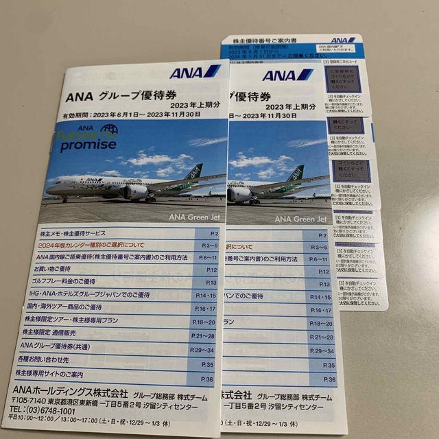 ANA(全日本空輸)(エーエヌエー(ゼンニッポンクウユ))のANA株主優待券 チケットの乗車券/交通券(航空券)の商品写真