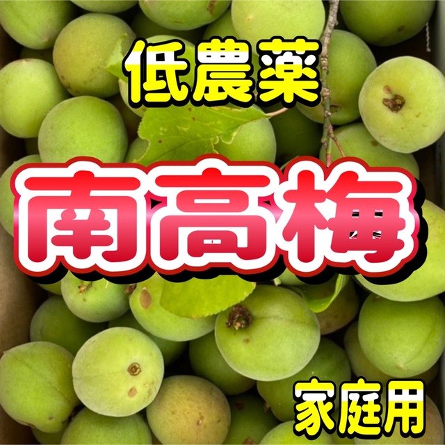 南高梅 低農薬 サイズ混合 家庭用 約5kgの通販 by miiiiiiii 南高梅 低農薬 サイズ混合 家庭用 約5kg