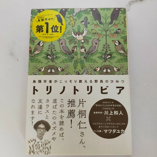 トリノトリビア 鳥類学者がこっそり教える野鳥のひみつ エンタメ/ホビーの本(趣味/スポーツ/実用)の商品写真