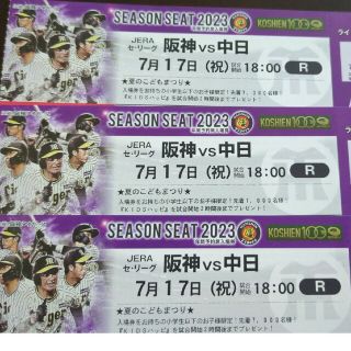 ハンシンタイガース(阪神タイガース)の3連番！7/17(月)祝　甲子園ライトスタンド　阪神vs中日(野球)