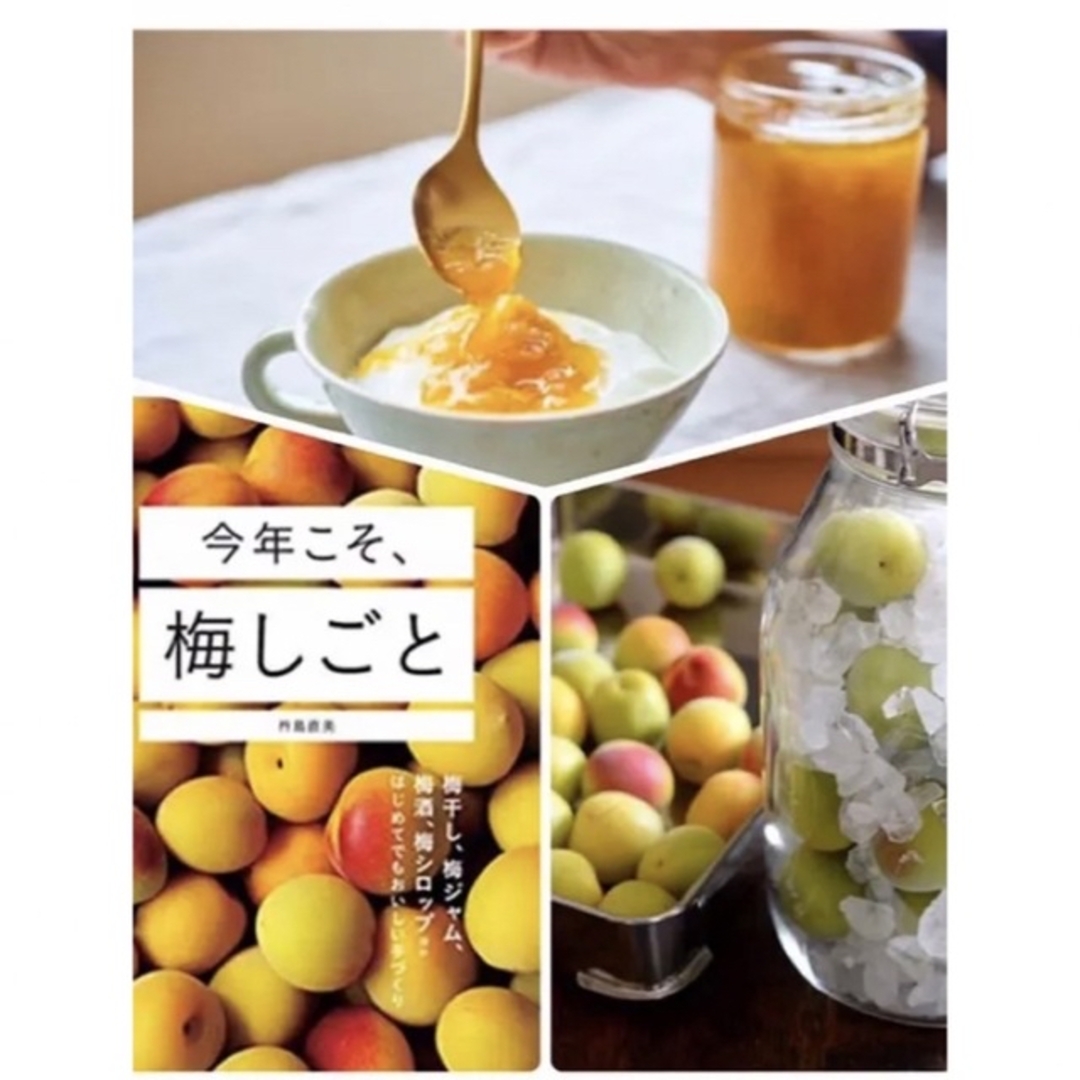 夏バテ知らず！無添加梅ジャム200g てんさい糖使用 食品/飲料/酒の食品(フルーツ)の商品写真