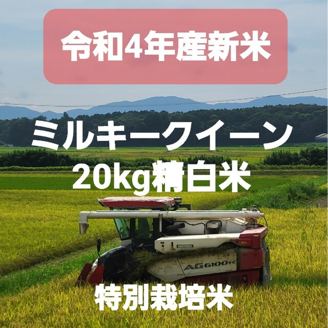 4年産精米20kgミルキークイーン 食品/飲料/酒の食品(米/穀物)の商品写真