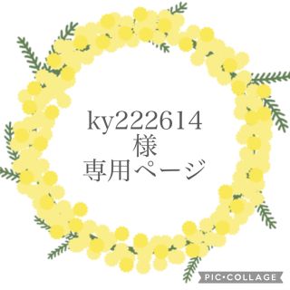 ky222614様専用ページ(外出用品)