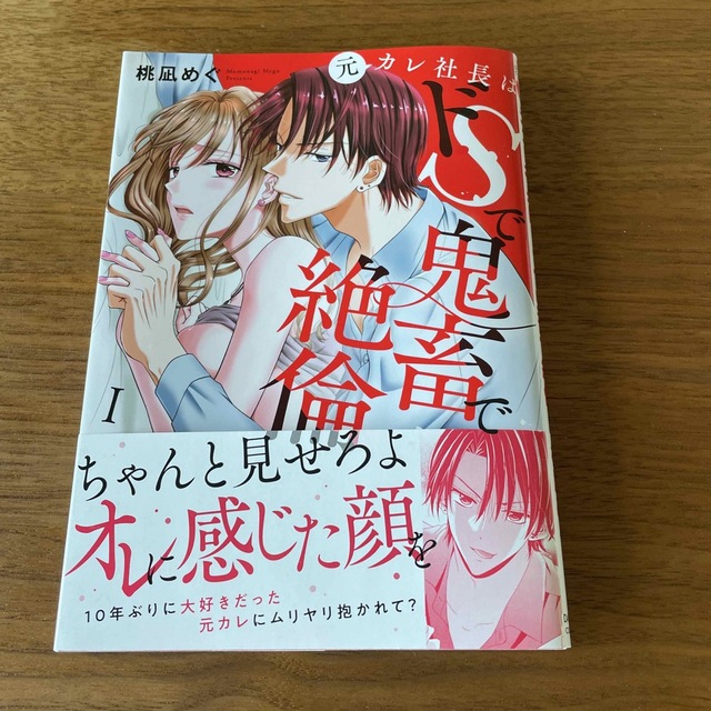 元カレ社長はドＳで鬼畜で絶倫  全巻 エンタメ/ホビーの漫画(女性漫画)の商品写真