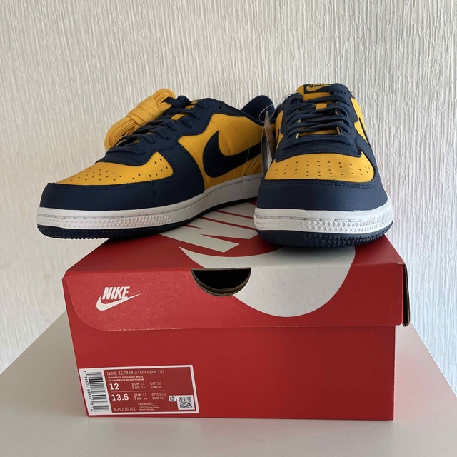 Nike Terminator Low (30cm)