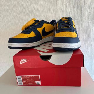 ナイキ(NIKE)のNike Terminator Low (30cm)(スニーカー)