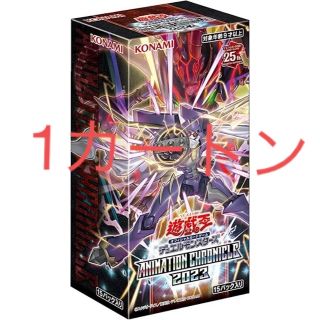 アニメーションクロニクル2023カートン 値下げ可-