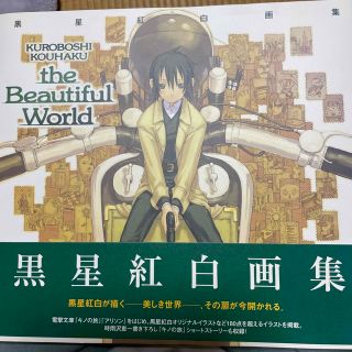 アスキーメディアワークス(アスキー・メディアワークス)のＴｈｅ　ｂｅａｕｔｉｆｕｌ　ｗｏｒｌｄ 黒星紅白画集(その他)