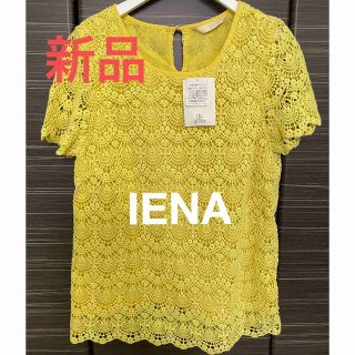 イエナ(IENA)の☆新品☆IENA  綿レーストップス　イエロー(シャツ/ブラウス(半袖/袖なし))