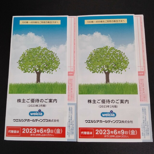 ウエルシア ホールディングス 株主優待 3000円分×2 セット(6000円分)