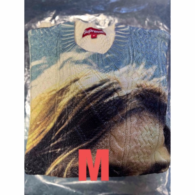 Supreme(シュプリーム)のSupreme シュプリーム Kurt Cobainカートコバーン セーター M メンズのトップス(ニット/セーター)の商品写真