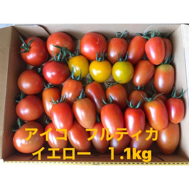 トマト1.2kg箱込　無農薬　徳島産 アイコ 食品/飲料/酒の食品(野菜)の商品写真