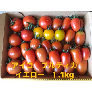 トマト1.2kg箱込　無農薬　徳島産 アイコ(野菜)
