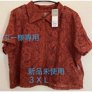 レースコンパクトシャツ　半袖３ＸＬ　ブラウン(シャツ/ブラウス(半袖/袖なし))