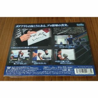 直筆サイン永久保存 小池正晃 直筆サイン ダグアウトの向こう 2013 DVD 初回限定盤