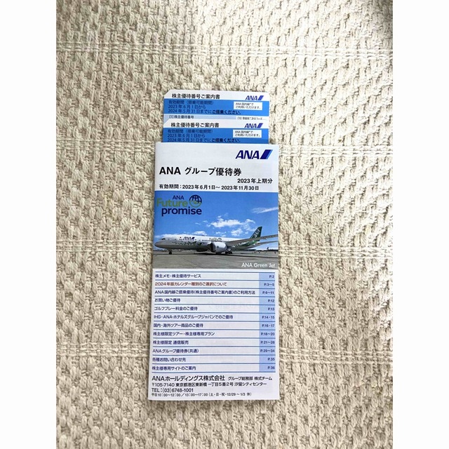 ANA(全日本空輸)(エーエヌエー(ゼンニッポンクウユ))のANA 株主優待 2枚セット チケットの優待券/割引券(その他)の商品写真