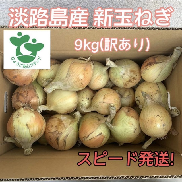 淡路島産 新玉ねぎ 9kg (訳あり) 食品/飲料/酒の食品(野菜)の商品写真